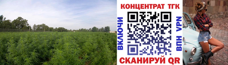где найти Райчихинск гидра как зайти Дистиллят ТГК Wax